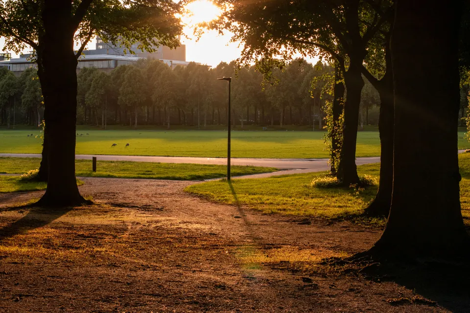 About Village Saint George, Louisiana — Village Saint George, LA